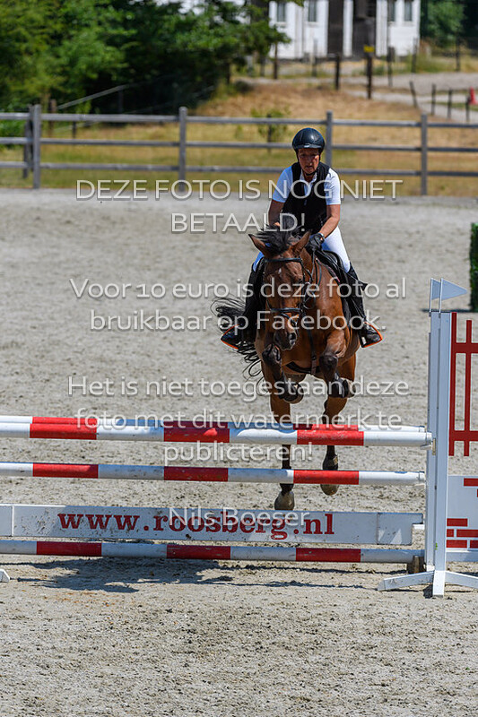 5 Klasse Paarden 110cm