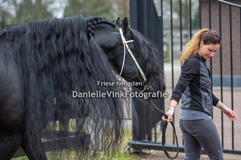 Hengstenshow Lunteren 02-04-2018 - Take 455