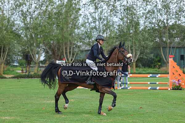 Rubriek 4: 1.35 m Anemone Horse trucks prijs