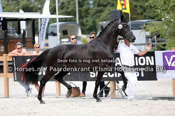 KWPN Kampioenschappen 2023