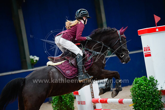 2023-11-19 Oosteind pony's springen