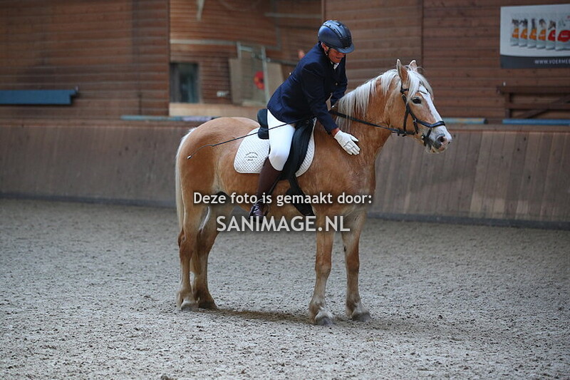 PV Midland Haflingerwedstrijd 13-04-2025 Dressuur ná pauze