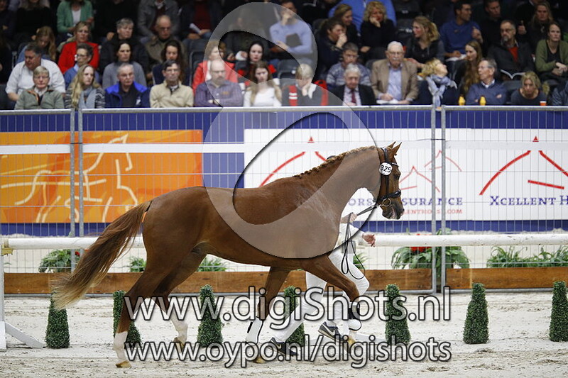 Let's Go Sollenburg v. Charmeur