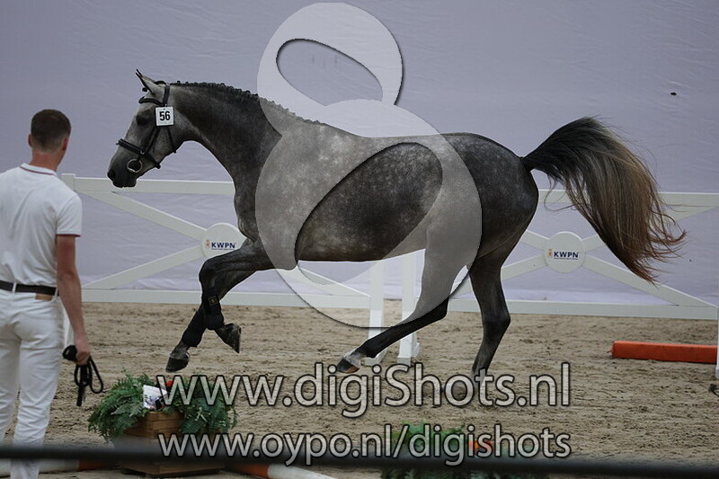 Sara Beau Odette v. Aristoteles