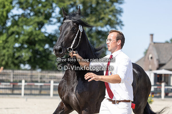 72. Yldau van Dijkstra State