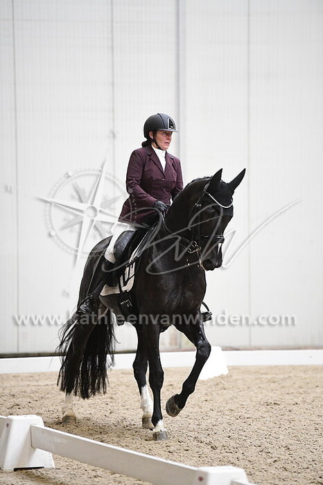 Brigitte Niedenzu - Jonight