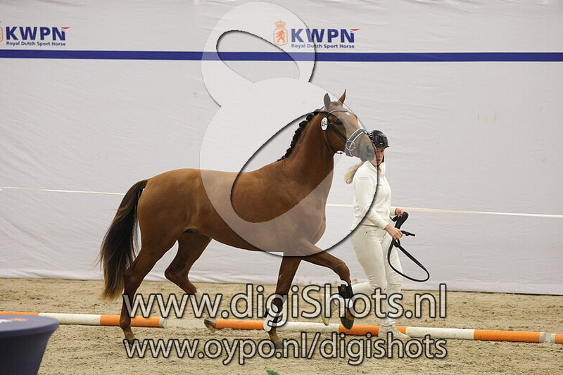 Tamimt Tayri Taghbalt