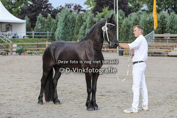 65. Hedwig v.d. Basse