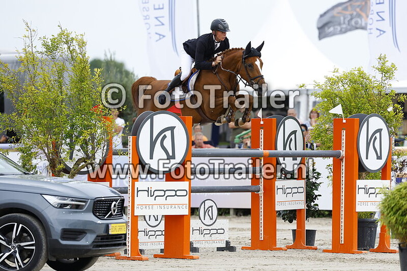 dennis van den brink