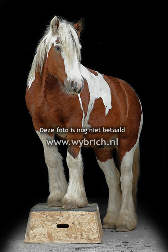 Stalshoot 7 en 8 oktober 2023