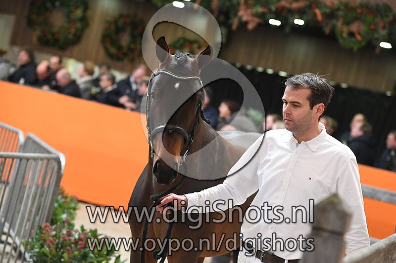 Mister Cornet v. Cornet Obolensky