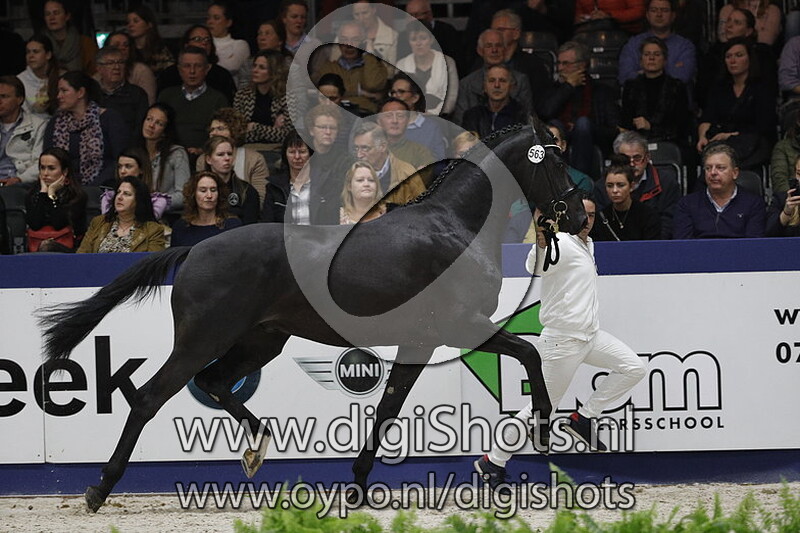 Mauro vd Watermolen 563