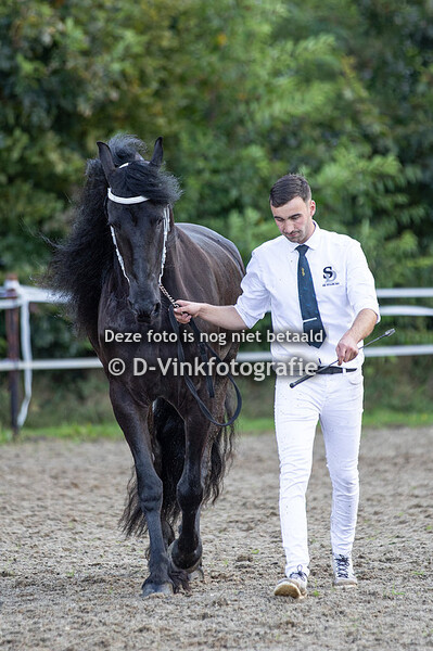 30. Feline vd Broeklanden