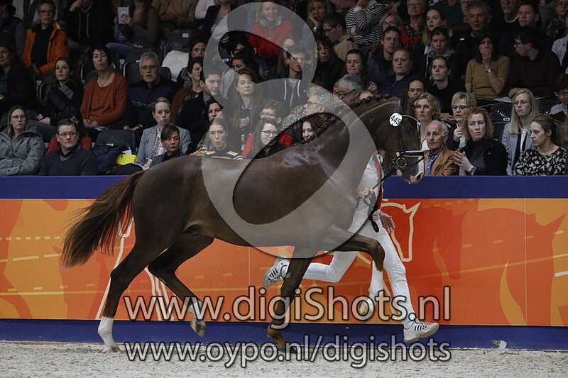 Moreland Turfhorst 445