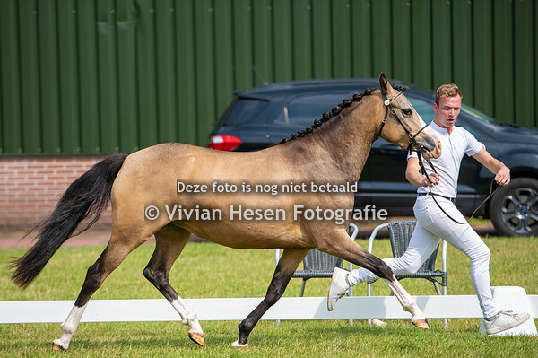 Inspectie NWPCS Putten