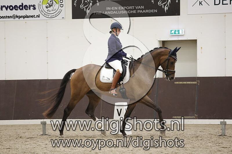 Dandelions Mackintosh