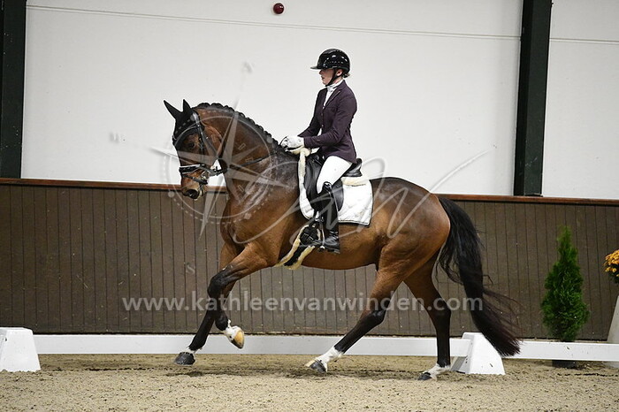 Maartje van der Velden - Nolan V