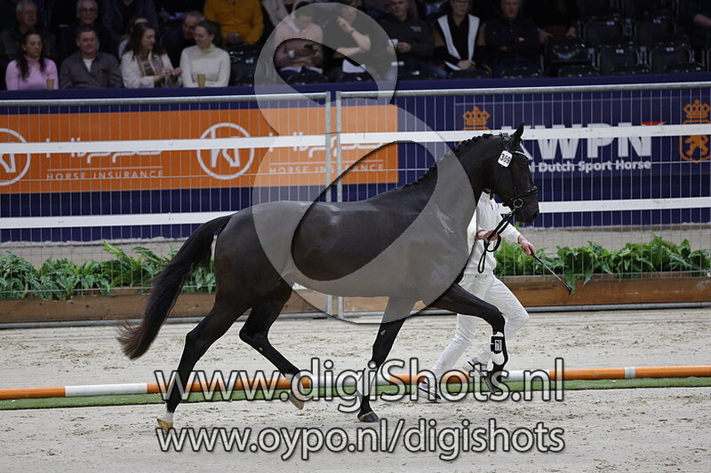 Reich Dior v. Furst Dior - 369