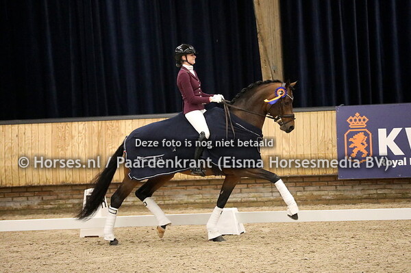 KWPN Hengstencompetitie dressuur Ermelo Klasse L