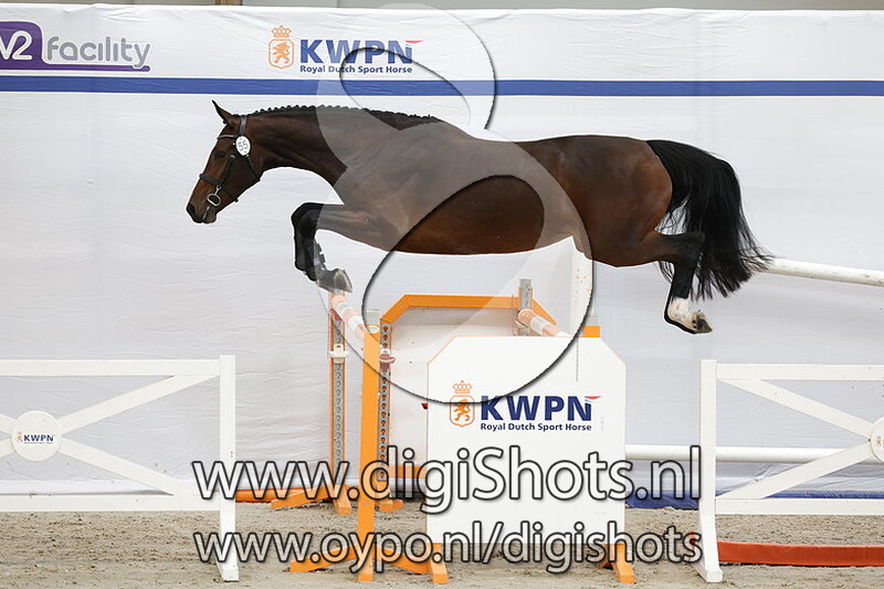 Pays Bas VDP v. Eldorado van de Zeshoek