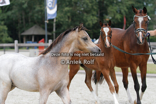 Regionale keuring Tolbert