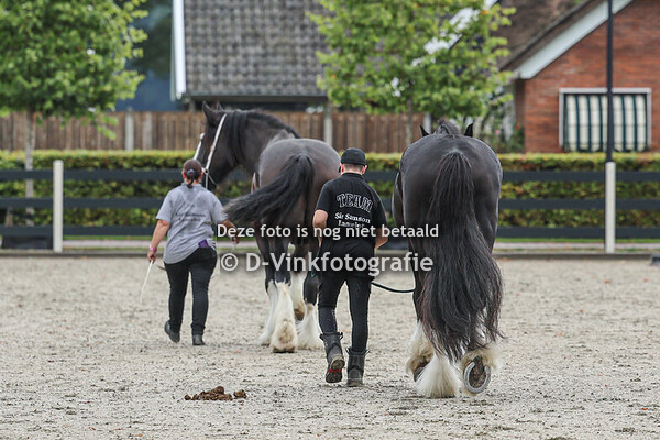 20. Dagkampioenschap