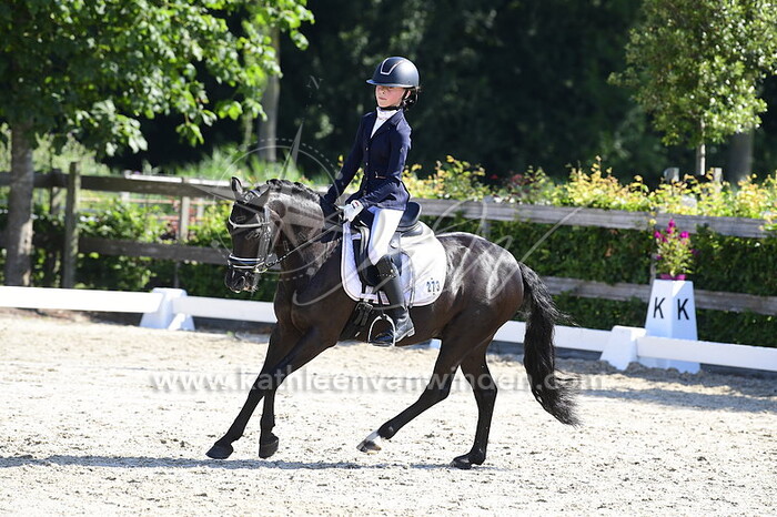 Anne-Sofie de Groot - Velvety's Forever Fearless Fellow