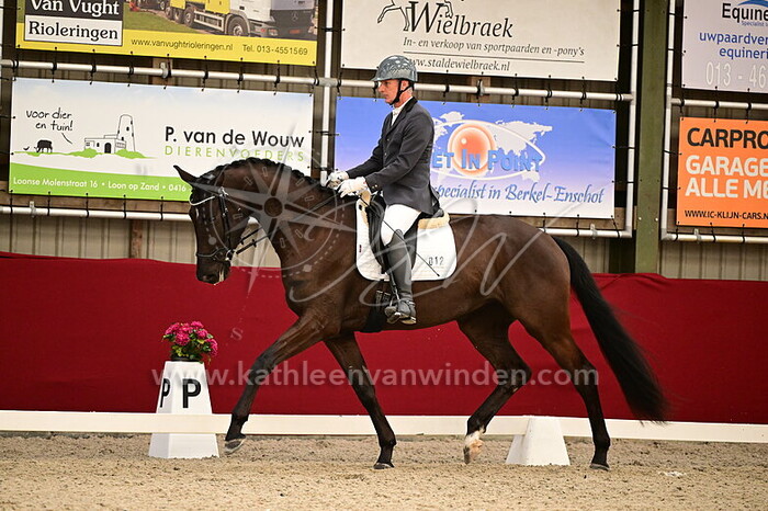 Marco Pulles - Raffajah K