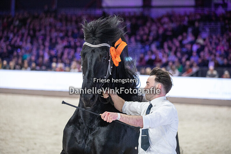 Hengstenkeuring 2025 Waander 512