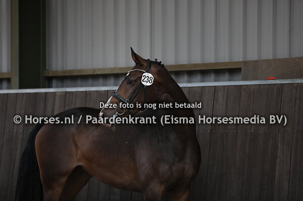 238 Makyra (Winningmood x Fakyra v. Oscar)