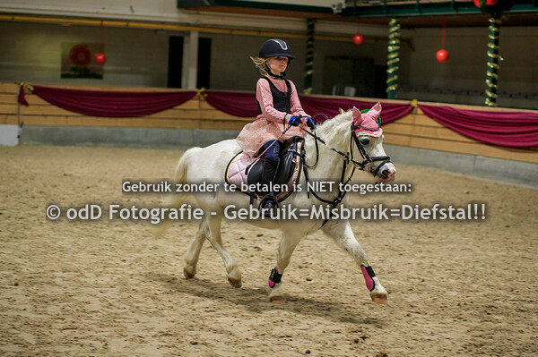 NY Jumping Warredal Pony's balkjes draven en 30-50cm 07-01-22