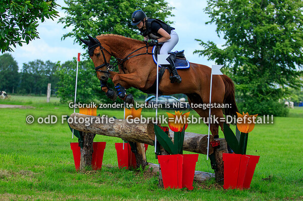 SGW Vinkega 12-06-22