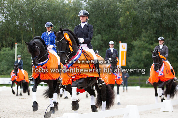 NK Friese paarden 2018