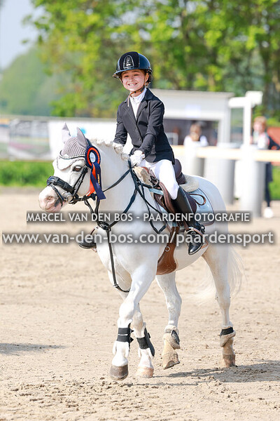 20240510-pony-60-70cm