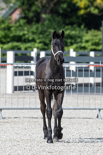 02. Fien fan Klein Weulink