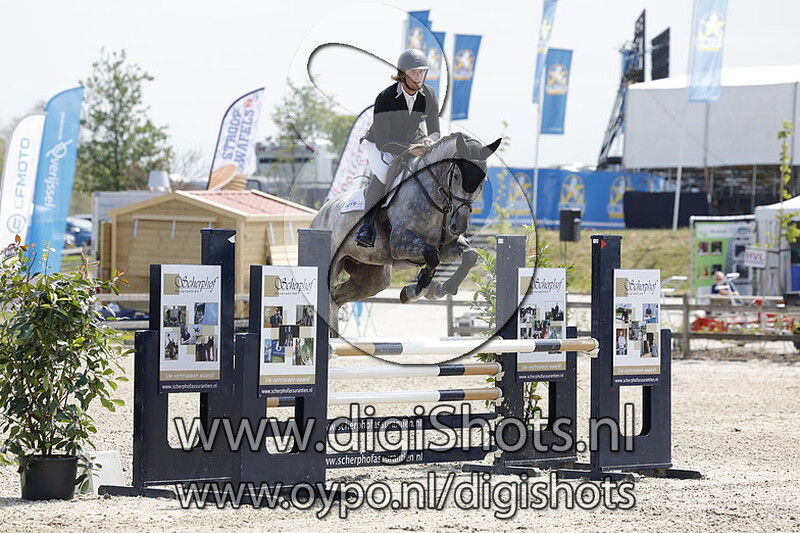 Napoleon van het Drienerwolde