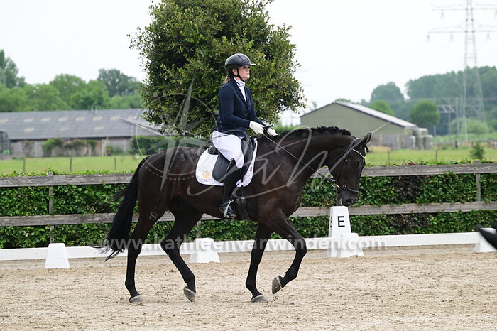 Danielle de Jong - Patriot van Liemeer