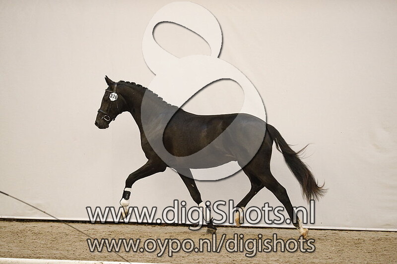 Maverick JC v. Ferdeaux