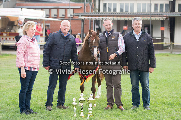 Bundesschau IG Welsh