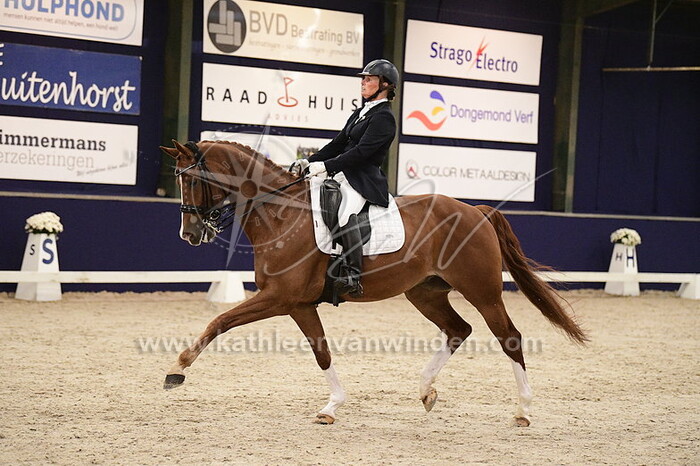 Saskia Timmermans-Melis - Beekdal's Kiddo B