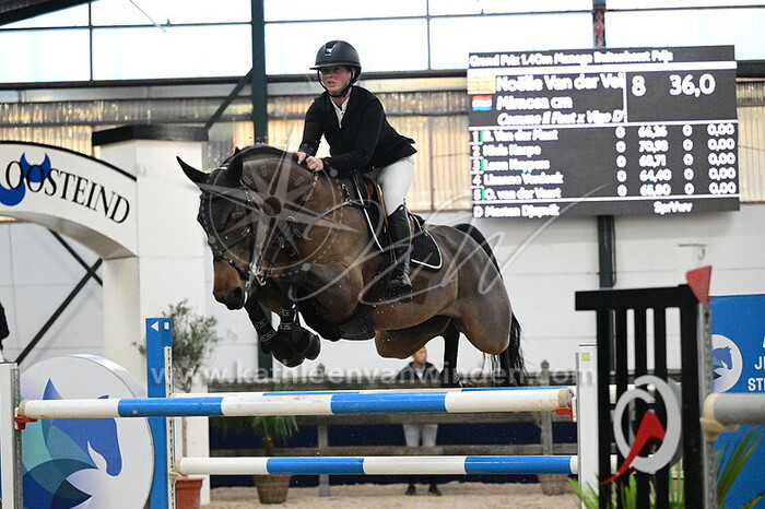 Noelle van der Velde - Mimosa CM