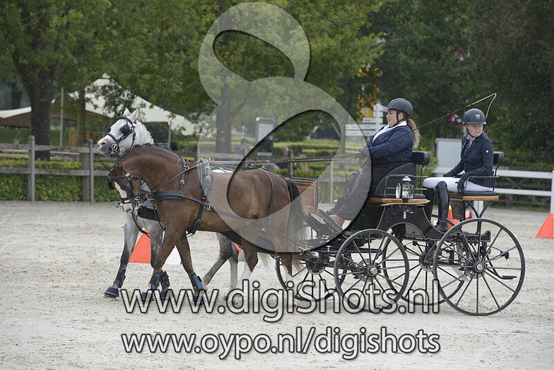 Kessy Schrijver De Feber