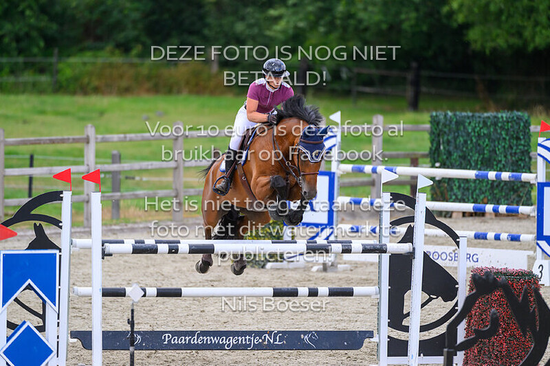 5 Paarden 1.30m & 1.35m 2 fasen special