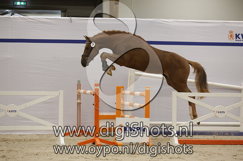 Spitfire vd Laarse Heide v. Andiamo