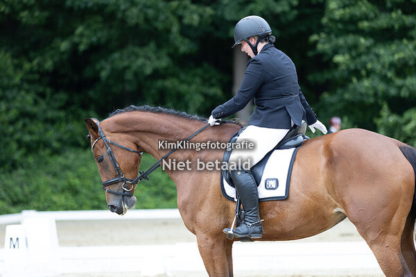 Kringkampioenschappen Wierden dressuur