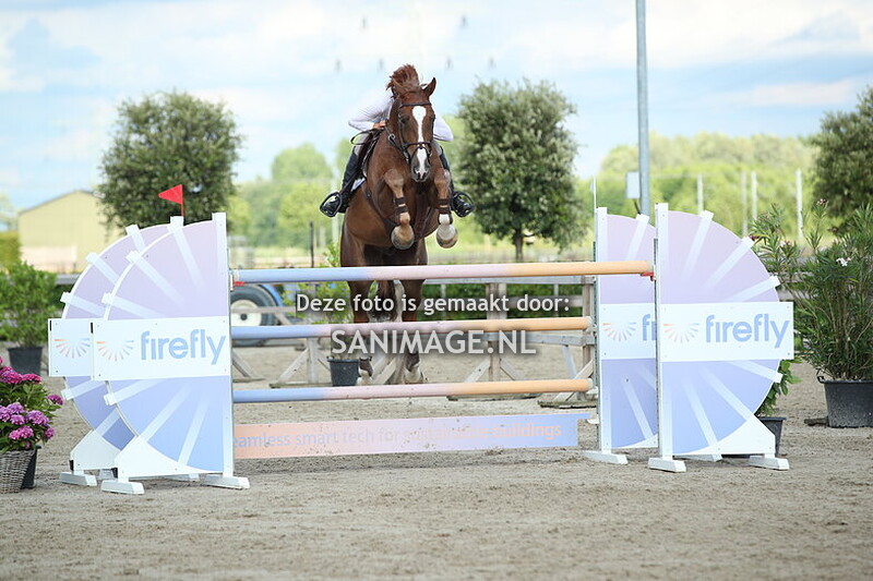 Zilfia's Hoeve Springen Paarden 28-06-2025 130-135-140 cm