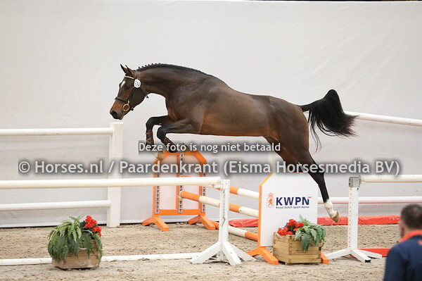 110 Hardwell x Up to Date