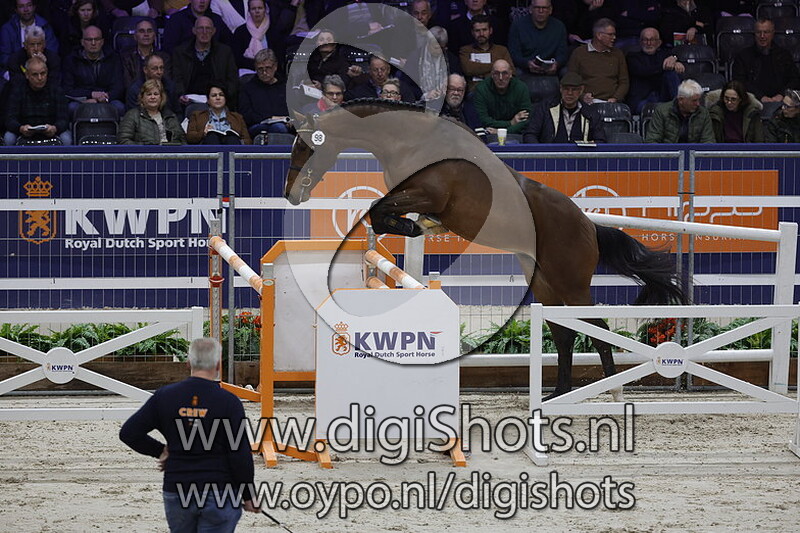 Planet v. Hardrock Z - 098