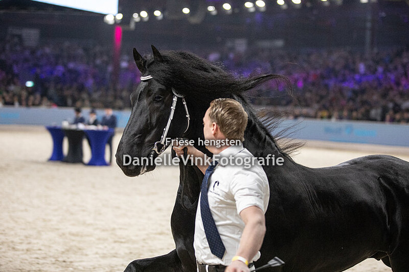 Hengstenkeuring 2024 Hildwin 528