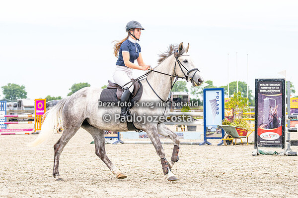 outdoor beukers paarden 100cm 31/05/2025